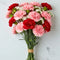 Elegant carnation flower arrangements for delivery in the Philippines