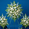 Elegant funeral lawn spray arrangement Philippines