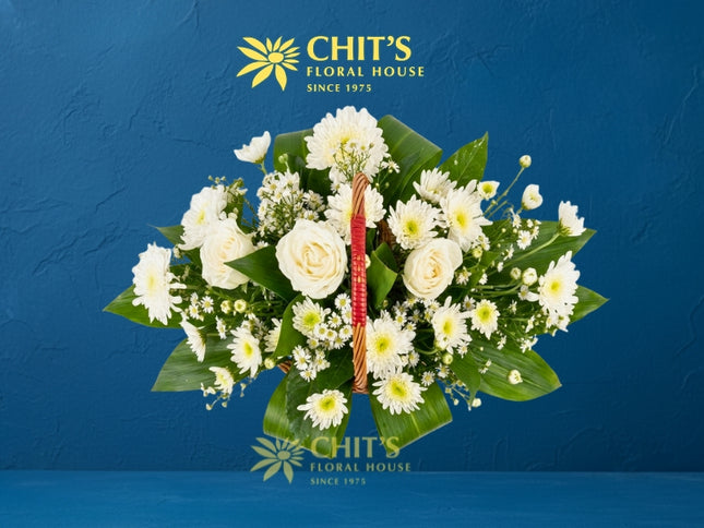 Silent Grace – 3 White Roses & Chrysanthemum Sympathy Basket