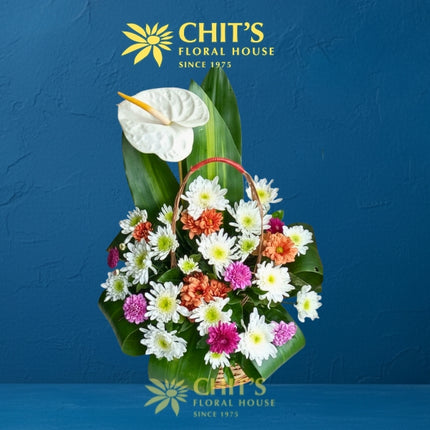 Pure Serenity medium Undas basket with white anthuriums and chrysanthemums