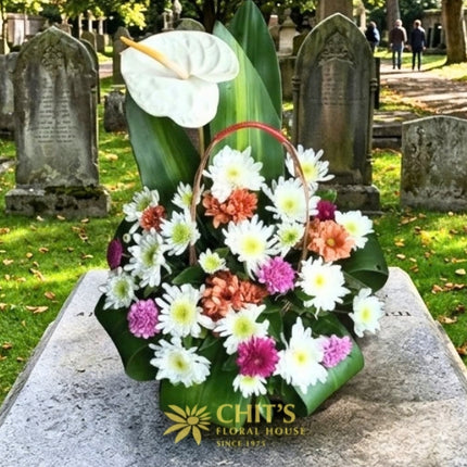 Garden Solace – One-Sided Anthurium & Chrysanthemum Sympathy Basket