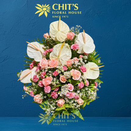 Blushing Grace | White Anthurium &amp; Pink Carnation Basket