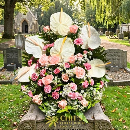 Blushing Grace | White Anthurium &amp; Pink Carnation Basket