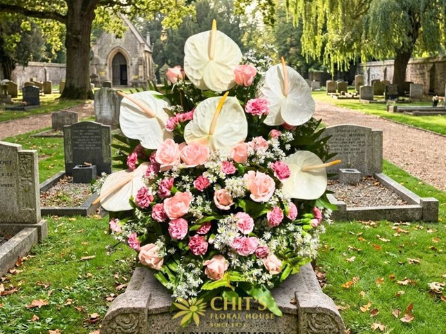 Blushing Grace | White Anthurium &amp; Pink Carnation Basket