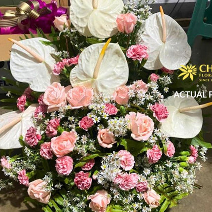 Blushing Grace | White Anthurium &amp; Pink Carnation Basket