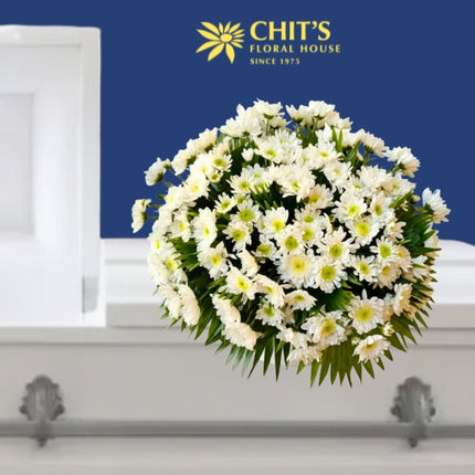 Cloud of Comfort funeral casket flower arrangement with white chrysanthemums and mums by Chits Floral House