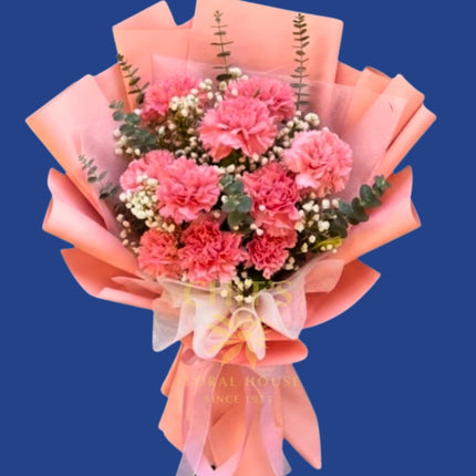 Sweet Carnation Whispers