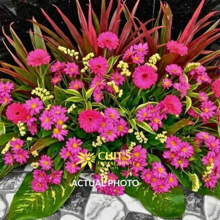 Fuchsia Gerbera and Mum Mausoleum Arrangement