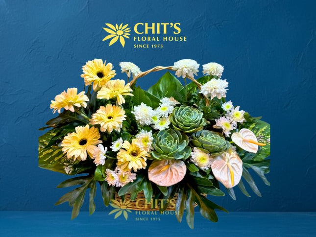 Ivory Haven | Wide Succulent & White Anthurium Basket