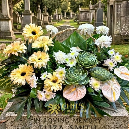 Ivory Haven | Wide Succulent & White Anthurium Basket