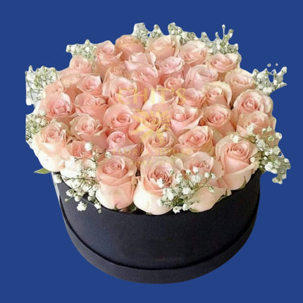 Pink Moonlight Box
