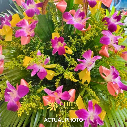 Orchid Solace – Purple Dendrobium Orchid Sympathy Basket