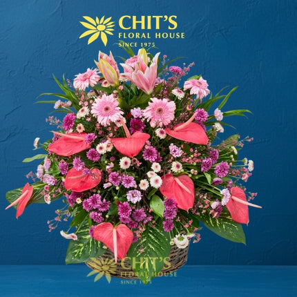 Pink Serenity | Lily, Gerbera & Anthurium Sympathy Spray