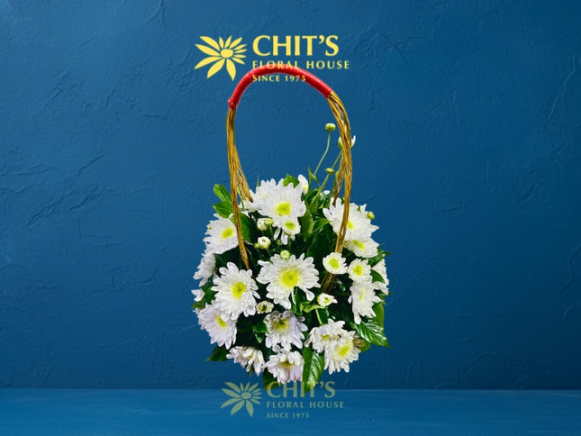 Pure Light medium round white chrysanthemum Undas flower basket