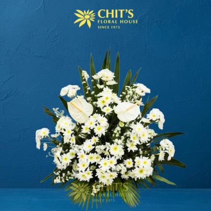 Purest Reverence white funeral flower basket with anthuriums and mums