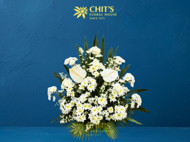 Purest Reverence white funeral flower basket with anthuriums and mums
