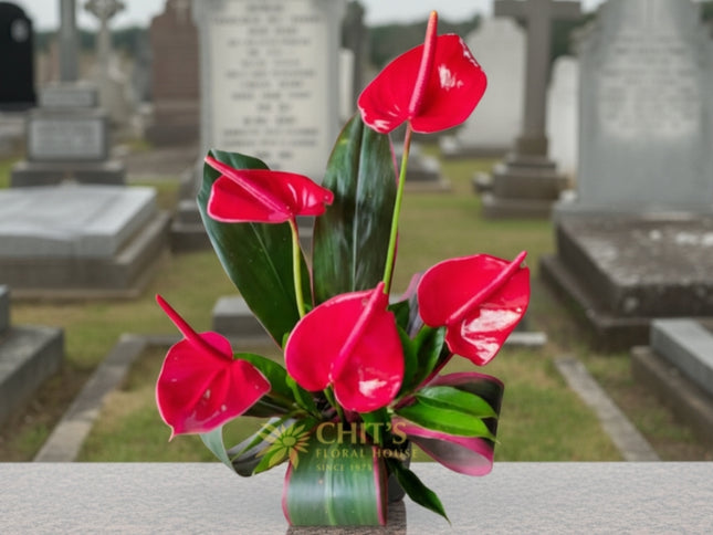 Red and pink anthurium funeral flower basket