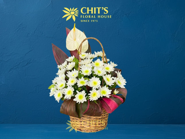 Sacred Haven – One-Sided Anthurium & Mums Sympathy Basket