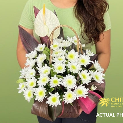 Sacred Haven – One-Sided Anthurium & Mums Sympathy Basket