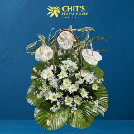 Silent Peace funeral flower basket with white anthuriums and lilies