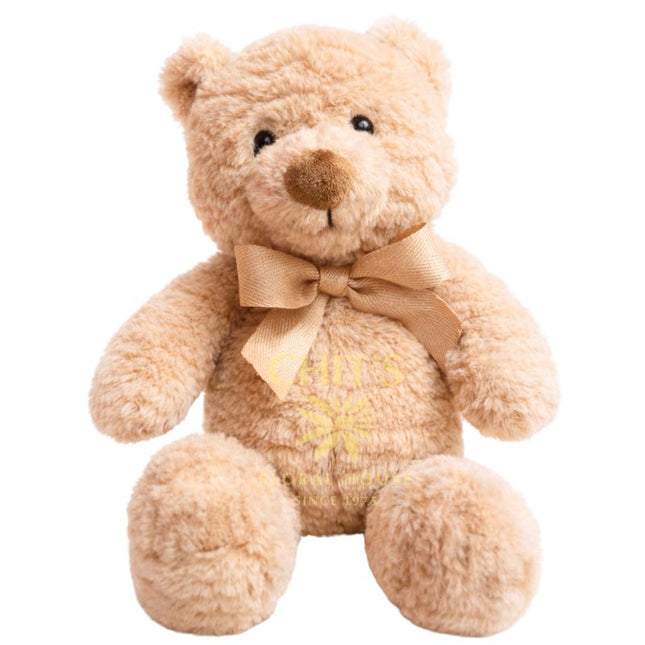 Soft Teddy Bear Joey 10 inch plush gift