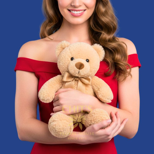 Soft Teddy Bear Joey 10 inch plush gift