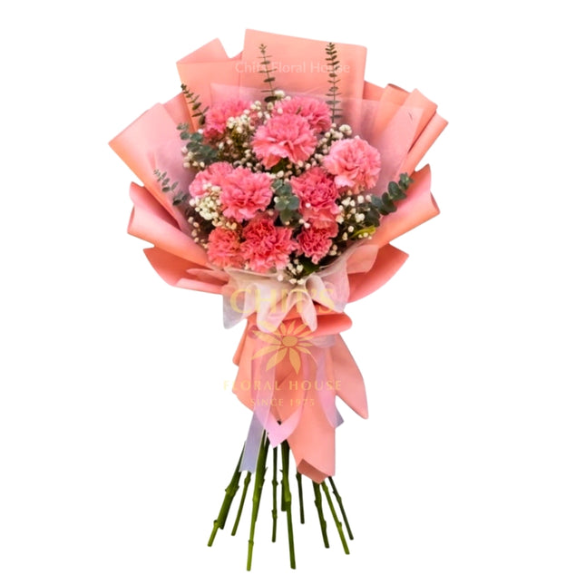 Sweet Carnation Whispers