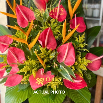 Eternal Paradise – Tropical Heliconia Sympathy Tribute