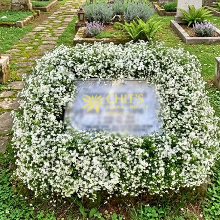 White Baby’s Breath Headstone Memorial Frame