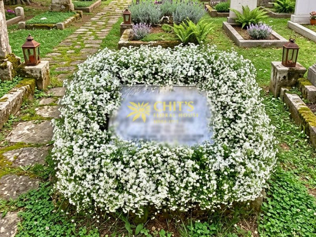 White Baby’s Breath Headstone Memorial Frame