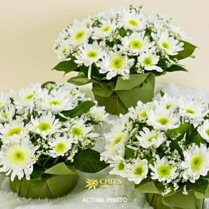 Little Light White Mums Undas Memorial Centerpiece